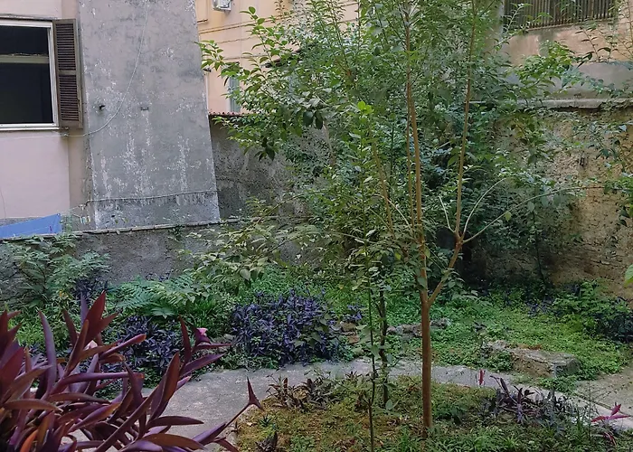 Marcelina Vaticans 2*